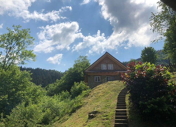 Die Haldenmühle im Schwarzwald