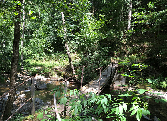 Wandern im Zwei-Täler-Tal