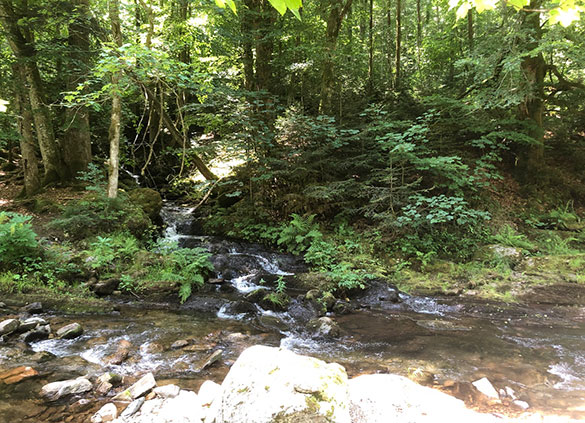 Wandern im Zwei-Täler-Tal