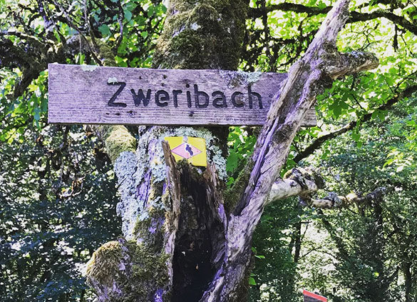 Wandern im Zwei-Täler-Tal