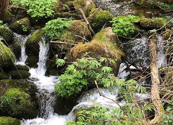 Wandern im Zwei-Täler-Tal